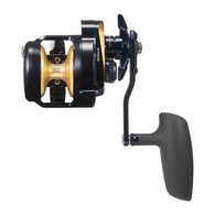 Saltiga 25 (G) 10 Reel Ohead Star Drag