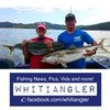 5 Hook Sabiki Shrimper Rig - Lumo 