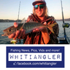 5 Hook Sabiki Shrimper Rig - Lumo 