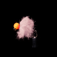 Jig Fritz Egg - Prawn