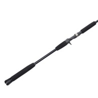Multistriker 100 Ceymar Jig Combo 6Ft 3In 50-180G 2Pc