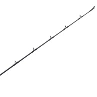 Multistriker 100 Ceymar Jig Combo 6Ft 3In 50-180G 2Pc