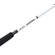 Revenger 6000 Endurance Spin Combo 6Ft 6In 6-10Kg 2Pc With Line