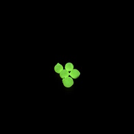 Floating Beads 5 Pack Glow - Life Of The Party