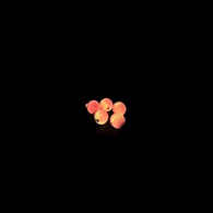 Floating Beads 5 Pack Glow - Orange Sherbet