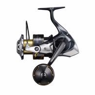 Stella SW 6000HGD SPIN REEL (2026 new )