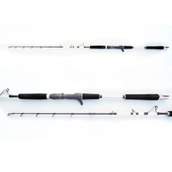 Twisted Sista L PE2-5 100-300g Jigging Rod 