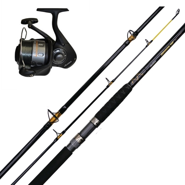 12 ft spinning rod